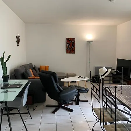 Bel Appartjardin 100m2 6pers 2sd 2wc Parking Gratuit Proche Parc Cine Circa Bus Cces Auch