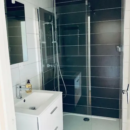 Bel Appartjardin 100m2 6pers 2sd 2wc Parking Gratuit Proche Parc Cine Circa Bus Cces Apartment