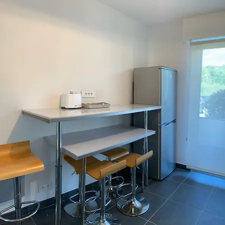 Bel Appartjardin 100m2 6pers 2sd 2wc Parking Gratuit Proche Parc Cine Circa Bus Cces *